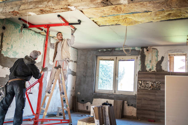 Best Insulation Removal  in Spencer, WV