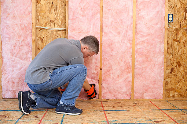 Best Crawl Space Insulation  in Spencer, WV